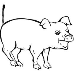 ぬりえページ: 豚肉 (動物) #17631 - 無料の印刷可能なぬりえページ