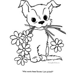 ぬりえページ: 子犬 (動物) #2918 - 無料の印刷可能なぬりえページ