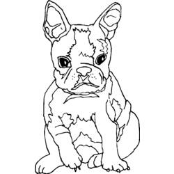 ぬりえページ: 子犬 (動物) #2924 - 無料の印刷可能なぬりえページ