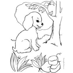 ぬりえページ: 子犬 (動物) #2926 - 無料の印刷可能なぬりえページ