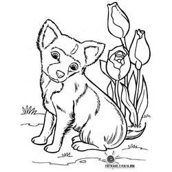 ぬりえページ: 子犬 (動物) #2941 - 無料の印刷可能なぬりえページ