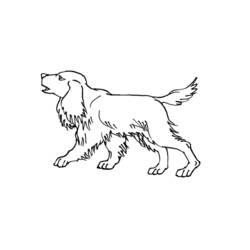 ぬりえページ: 子犬 (動物) #2964 - 無料の印刷可能なぬりえページ