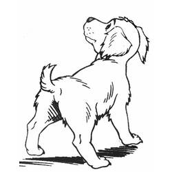 ぬりえページ: 子犬 (動物) #2988 - 無料の印刷可能なぬりえページ