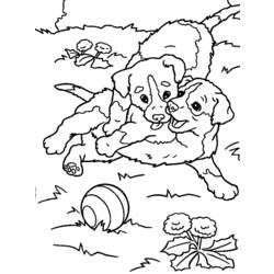 ぬりえページ: 子犬 (動物) #3005 - 無料の印刷可能なぬりえページ