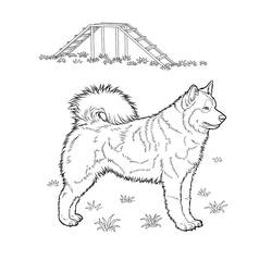 ぬりえページ: 子犬 (動物) #3008 - 無料の印刷可能なぬりえページ