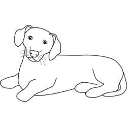 ぬりえページ: 子犬 (動物) #3031 - 無料の印刷可能なぬりえページ
