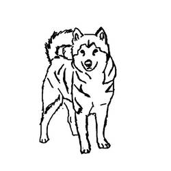 ぬりえページ: 子犬 (動物) #3048 - 無料の印刷可能なぬりえページ