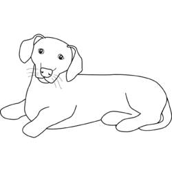 ぬりえページ: 子犬 (動物) #3059 - 無料の印刷可能なぬりえページ