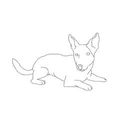 ぬりえページ: 子犬 (動物) #3069 - 無料の印刷可能なぬりえページ