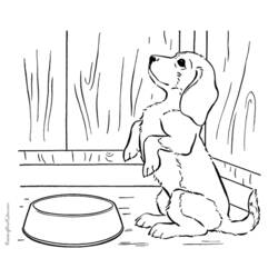 ぬりえページ: 子犬 (動物) #3070 - 無料の印刷可能なぬりえページ