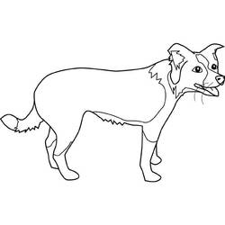ぬりえページ: 子犬 (動物) #3088 - 無料の印刷可能なぬりえページ