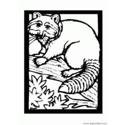 ぬりえページ: ラクーン (動物) #19994 - 無料の印刷可能なぬりえページ