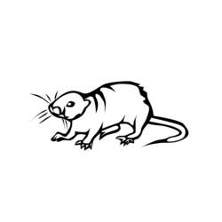 ぬりえページ: ラット (動物) #15200 - 無料の印刷可能なぬりえページ