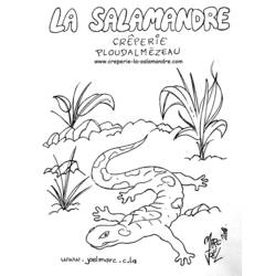 ぬりえページ: サラマンダー (動物) #19893 - 無料の印刷可能なぬりえページ