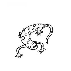 ぬりえページ: サラマンダー (動物) #19905 - 無料の印刷可能なぬりえページ