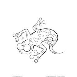 ぬりえページ: サラマンダー (動物) #19944 - 無料の印刷可能なぬりえページ