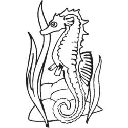 ぬりえページ: タツノオトシゴ (動物) #18632 - 無料の印刷可能なぬりえページ