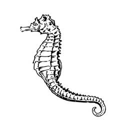 ぬりえページ: タツノオトシゴ (動物) #18636 - 無料の印刷可能なぬりえページ
