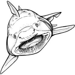 ぬりえページ: 鮫 (動物) #14762 - 無料の印刷可能なぬりえページ