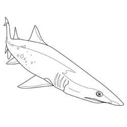 ぬりえページ: 鮫 (動物) #14771 - 無料の印刷可能なぬりえページ