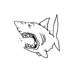 ぬりえページ: 鮫 (動物) #14773 - 無料の印刷可能なぬりえページ