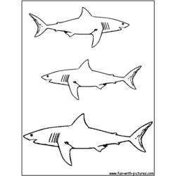 ぬりえページ: 鮫 (動物) #14776 - 無料の印刷可能なぬりえページ