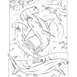 ぬりえページ: 鮫 (動物) #14784 - 無料の印刷可能なぬりえページ