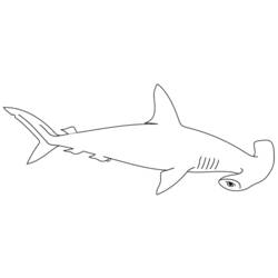 ぬりえページ: 鮫 (動物) #14787 - 無料の印刷可能なぬりえページ