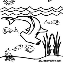 ぬりえページ: 鮫 (動物) #14788 - 無料の印刷可能なぬりえページ