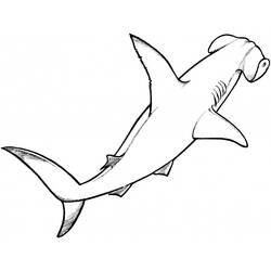 ぬりえページ: 鮫 (動物) #14798 - 無料の印刷可能なぬりえページ