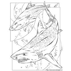 ぬりえページ: 鮫 (動物) #14799 - 無料の印刷可能なぬりえページ
