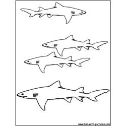 ぬりえページ: 鮫 (動物) #14800 - 無料の印刷可能なぬりえページ