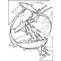 ぬりえページ: 鮫 (動物) #14801 - 無料の印刷可能なぬりえページ