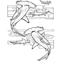 ぬりえページ: 鮫 (動物) #14805 - 無料の印刷可能なぬりえページ