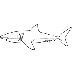 ぬりえページ: 鮫 (動物) #14809 - 無料の印刷可能なぬりえページ