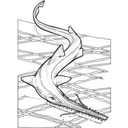 ぬりえページ: 鮫 (動物) #14819 - 無料の印刷可能なぬりえページ