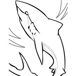 ぬりえページ: 鮫 (動物) #14822 - 無料の印刷可能なぬりえページ