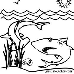 ぬりえページ: 鮫 (動物) #14831 - 無料の印刷可能なぬりえページ