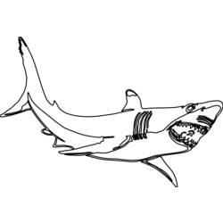 ぬりえページ: 鮫 (動物) #14837 - 無料の印刷可能なぬりえページ