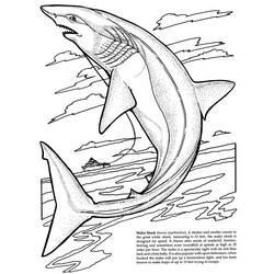 ぬりえページ: 鮫 (動物) #14839 - 無料の印刷可能なぬりえページ