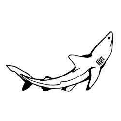 ぬりえページ: 鮫 (動物) #14849 - 無料の印刷可能なぬりえページ