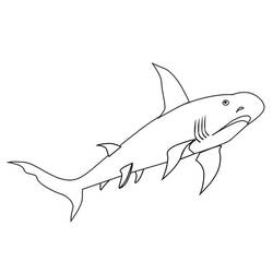 ぬりえページ: 鮫 (動物) #14851 - 無料の印刷可能なぬりえページ