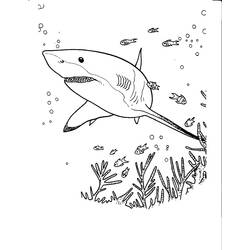 ぬりえページ: 鮫 (動物) #14858 - 無料の印刷可能なぬりえページ