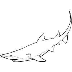 ぬりえページ: 鮫 (動物) #14871 - 無料の印刷可能なぬりえページ