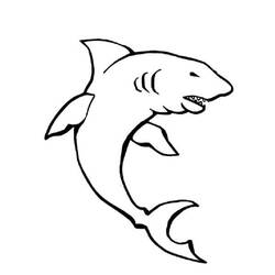 ぬりえページ: 鮫 (動物) #14890 - 無料の印刷可能なぬりえページ