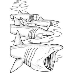 ぬりえページ: 鮫 (動物) #14902 - 無料の印刷可能なぬりえページ