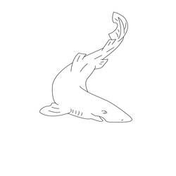 ぬりえページ: 鮫 (動物) #14907 - 無料の印刷可能なぬりえページ