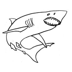 ぬりえページ: 鮫 (動物) #14911 - 無料の印刷可能なぬりえページ