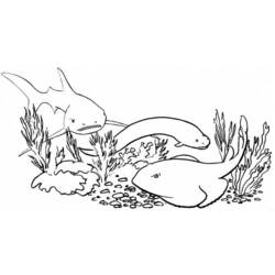 ぬりえページ: 鮫 (動物) #14912 - 無料の印刷可能なぬりえページ