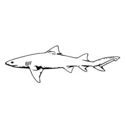 ぬりえページ: 鮫 (動物) #14920 - 無料の印刷可能なぬりえページ